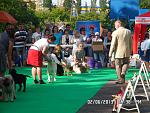     
: SAM_2568.jpg
: 7
:	187.3 
ID:	6319889