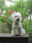     
: IMG_8154.jpg
: 7
:	139.2 
ID:	6322326