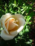     
: 2 июня (19)аа.jpg
: 6
:	48.4 
ID:	6323401