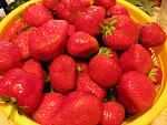     
: IMG_1023.jpg
: 21
:	135.3 
ID:	6333488