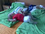     
: IMG_20130605_124848.jpg
: 24
:	149.7 
ID:	6334393