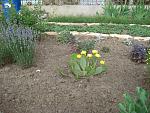     
: IMG_1316.jpg
: 6
:	228.5 
ID:	6334646