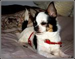     
: BbS0x_HX-IM.jpg
: 38
:	100.5 
ID:	6335275