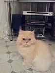     
: 20130605_220325.jpg
: 13
:	80.7 
ID:	6337651