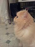     
: 20130605_220456.jpg
: 13
:	78.0 
ID:	6337657