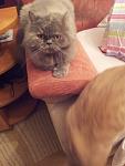     
: 20130605_220758.jpg
: 15
:	72.0 
ID:	6337671