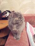     
: 20130605_220658.jpg
: 14
:	71.3 
ID:	6337679