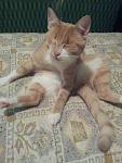     
: 20130605_224259.jpg
: 17
:	88.4 
ID:	6337685