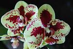     
: DSC_1073.jpg
: 6
:	100.4 
ID:	6337751