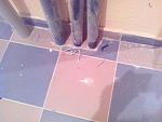     
: IMG_20130606_134757.jpg
: 94
:	103.3 
ID:	6339012