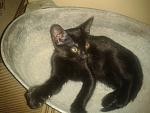     
: 2013-06-05 20.05.15.jpg
: 7
:	115.1 
ID:	6339922