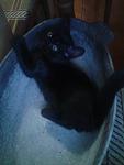     
: 2013-06-05 20.04.23.jpg
: 6
:	61.6 
ID:	6339925