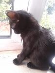     
: 2013-06-05 17.16.11.jpg
: 6
:	84.7 
ID:	6339926