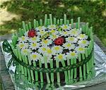     
: getImage (1).jpg
: 6
:	65.1 
ID:	6342193