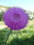     
: P1080646.jpg
: 8
:	54.9 
ID:	6342745