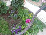     
: IMG_1318.jpg
: 9
:	222.6 
ID:	6347007