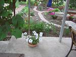    
: IMG_1319.jpg
: 8
:	185.2 
ID:	6347010