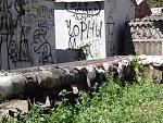     
: SAM_1304.jpg
: 7
:	223.5 
ID:	6349647