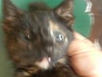     
: DSCN3922.jpg
: 26
:	69.8 
ID:	6351165