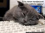     
: 685467d128afc44bcf5589325c039a2f_full.jpg
: 5
:	78.5 
ID:	6351179