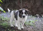     
: DSC_0226.JPG
: 9
:	106.0 
ID:	6351899