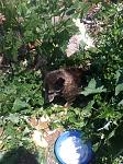     
: IMG_3392.jpg
: 6
:	177.6 
ID:	6353020