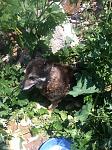     
: IMG_3391.jpg
: 6
:	178.1 
ID:	6353021