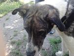     
: DSC_0048.jpg
: 3
:	57.7 
ID:	6353583