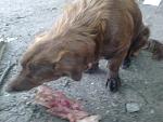     
: DSC_0042.jpg
: 9
:	51.2 
ID:	6353864
