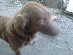     
: DSC_0041.jpg
: 6
:	54.2 
ID:	6353865