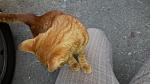    
: 20130609_140903.jpg
: 17
:	83.5 
ID:	6353955