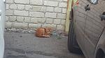     
: 20130609_181642.jpg
: 16
:	90.4 
ID:	6353963