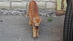     
: 20130609_181701.jpg
: 16
:	150.3 
ID:	6353965