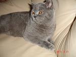     
: DSC02616.jpg
: 15
:	162.9 
ID:	6354681