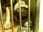     
: DSCN3052.jpg
: 4
:	110.7 
ID:	6355239