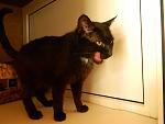     
: DSCN3022.jpg
: 3
:	80.1 
ID:	6355263