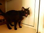     
: DSCN3021.jpg
: 5
:	76.8 
ID:	6355266