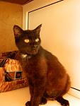     
: DSCN3029.jpg
: 2
:	69.0 
ID:	6355269