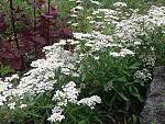     
: 2013-06-07 11.06.23.jpg
: 2
:	273.9 
ID:	6358207