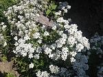     
: 2013-06-10 15.56.08.jpg
: 2
:	289.3 
ID:	6358210