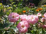     
: 2013-06-10 15.57.06.jpg
: 2
:	166.3 
ID:	6358231