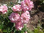     
: 2013-06-10 15.56.58.jpg
: 3
:	146.6 
ID:	6358238