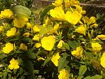     
: 2013-06-10 15.55.06.jpg
: 4
:	206.8 
ID:	6358239