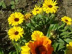     
: 2013-06-10 15.57.59.jpg
: 2
:	199.6 
ID:	6358240