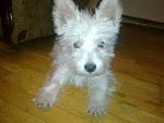     
: 04062013427.jpg
: 4
:	81.4 
ID:	6358335