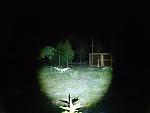     
: DSC00610.jpg
: 7
:	85.2 
ID:	6359024