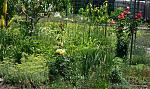     
: IMG_7479.jpg
: 2
:	245.2 
ID:	6360564