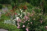     
: IMG_7504.jpg
: 8
:	246.1 
ID:	6360566