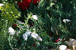     
: IMG_7486.jpg
: 3
:	178.7 
ID:	6360567