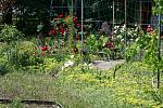     
: IMG_7507.jpg
: 5
:	252.0 
ID:	6360568